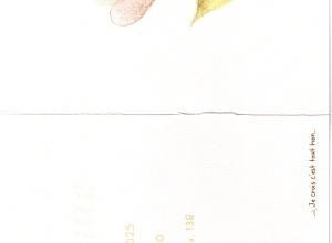 Invitation au mariage de Roxanne