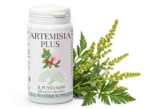 Artemisia