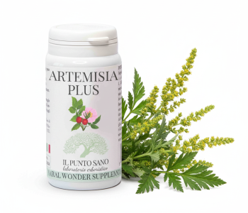 Artemisia